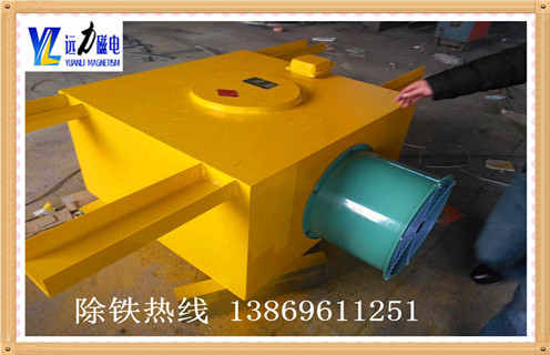 RCDA風(fēng)冷電磁除鐵器廠(chǎng)家哪家好
