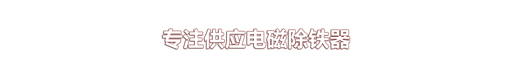 遠力磁電專(zhuān)注供應除鐵器6年 遠力磁電專(zhuān)注供應除鐵器6年